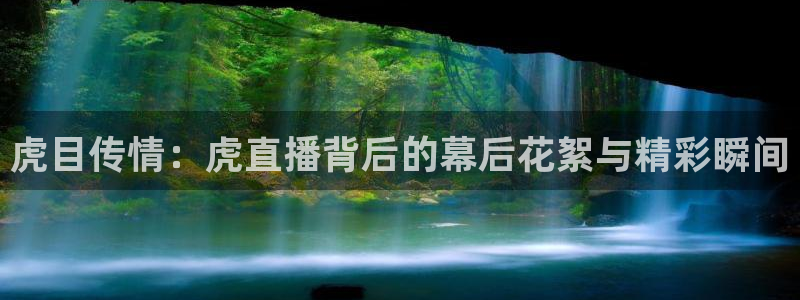 jrkan直播体育：虎目传情：虎直播背后的幕后花絮与精彩瞬间