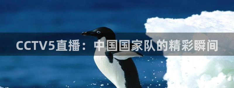 jr看球直播：CCTV5直播：中国国家队的精彩瞬间