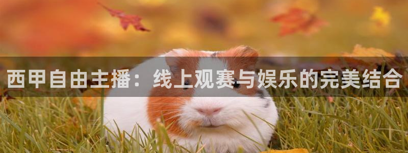 jrkan直播体育app：西甲自由主播：线上观赛与娱乐的完美结合
