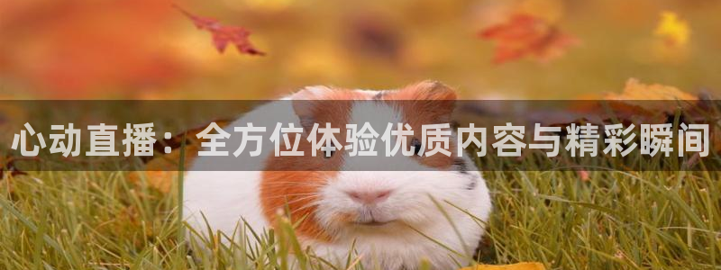 jrkan直播nba在线直播：心动直播：全方位体验优质内容与精彩瞬间