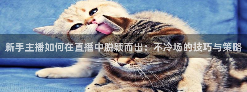 jrkan直播体育app：新手主播如何在直播中脱颖而出：不冷场的技巧与策略