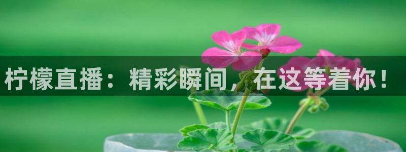 nba网站直播jrkan：柠檬直播：精彩瞬间，在这等着你！