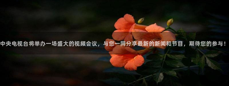 jrkankan直播体育